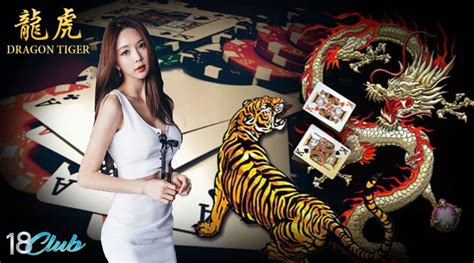 How to play Dragon Tiger online ? - Casinotips4u