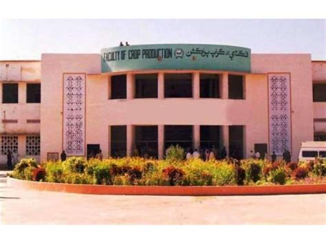 Sindh agriculture university Umerkot)- Admissions, Fee Structure 2022