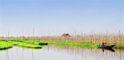 Floating Fields on the Lake in Inlay, Myanmar Editorial Photo - Image ...