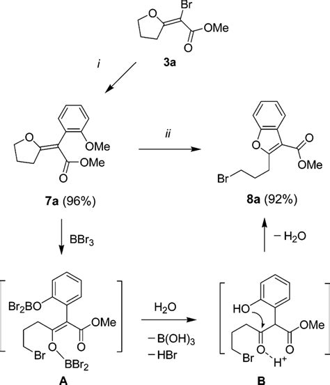 SCHEME 3. Synthesis of Benzofuran 8a a | Download Scientific Diagram