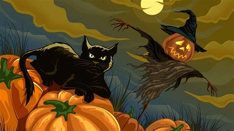 [100+] Black Cat Halloween Wallpapers | Wallpapers.com