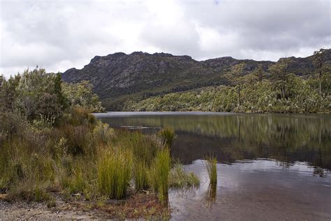 Rosebery Map - West Coast Tasmania - Mapcarta