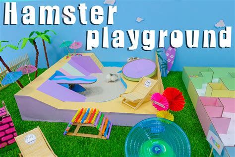 Hamster Playground | Hamster toys, Hamster, Roborovski hamster