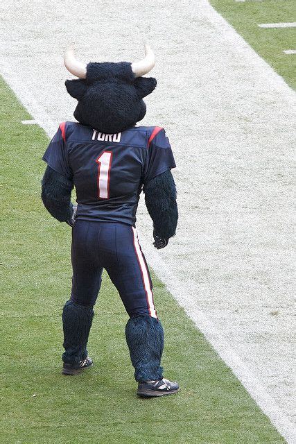 Toro The Mascot | Houston texans logo, Mascot, Texans logo