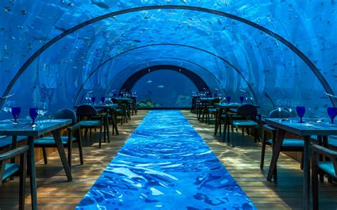 Picturesque Underwater Restaurant Not Just for Dining « Luxury Brands ...