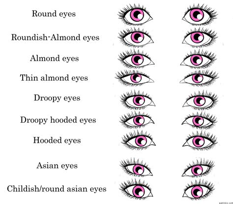 Determine your eye shape. Mine is Round :) | Shape chart, Eye shapes ...