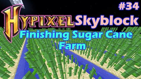 HYPIXEL SKYBLOCK | FINISHING SUGAR CANE FARM #34 - YouTube