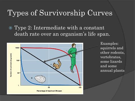 PPT - Survivorship Curves PowerPoint Presentation, free download - ID:2206053