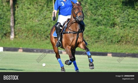 Horse Polo Player Image & Photo (Free Trial) | Bigstock