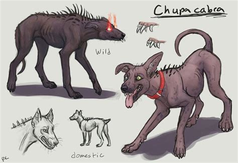 El chupacabra facts | Wiki | Urban Legends & Cryptids Amino