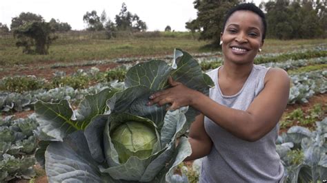 youth in agriculture 1 – The Sierra Leone Telegraph