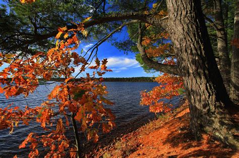 Trout Lake is one of the largest lakes in Vilas County Wisconsin, and covers over 3,816 acres ...