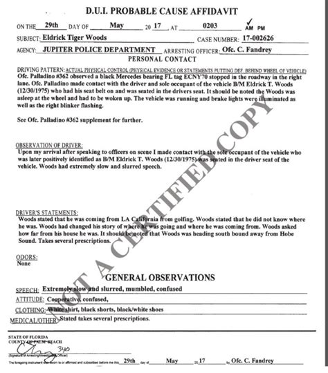 Tiger Woods' Police Report Is Something - Crossing Broad