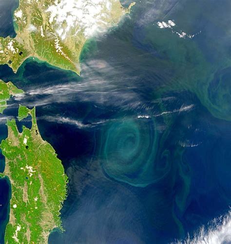 Satellite image of a recirculation gyre in the North Pacific, east of ...