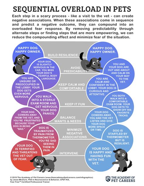 Sequential Overload in Pets - The Academy of Pet Careers