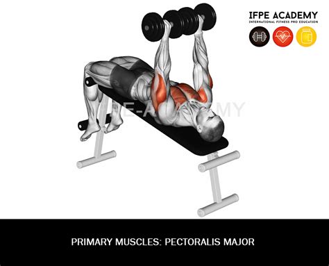 Dumbbell Bench Press - IFPE Academy