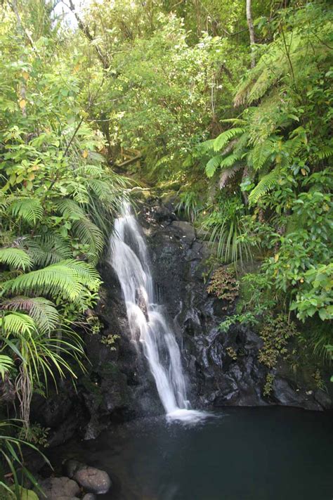 Fairy Falls (Waitakere Ranges, Auckland, New Zealand)