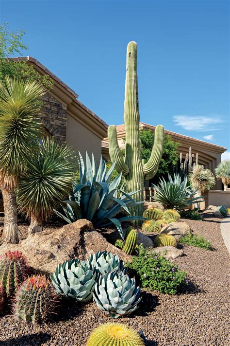 Paradise For Two - Phoenix Home & Garden | Desert landscape design, Desert landscaping backyard ...