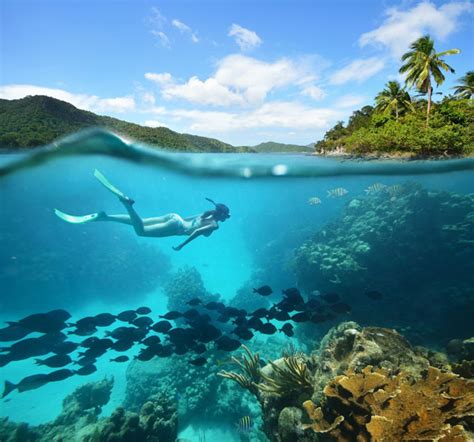 St. Thomas Snorkeling