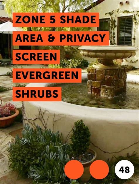 Zone 5 Shade Area & Privacy Screen Evergreen Shrubs | Evergreen shrubs ...