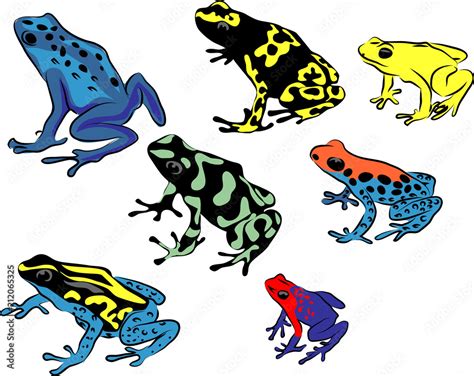 Poison dart frog - color vector illustration Stock Vector | Adobe Stock