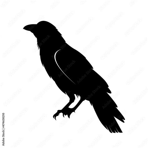 raven silhouette vector illustration Crow Flat Logo Icon Clipart Stock ...