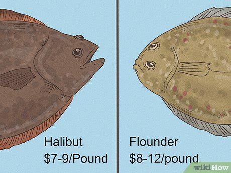 Flounder vs. Halibut: Differences in Taste & Appearance