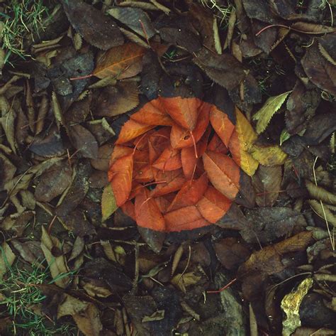 Andy Goldsworthy’s Land Art Photography - IGNANT