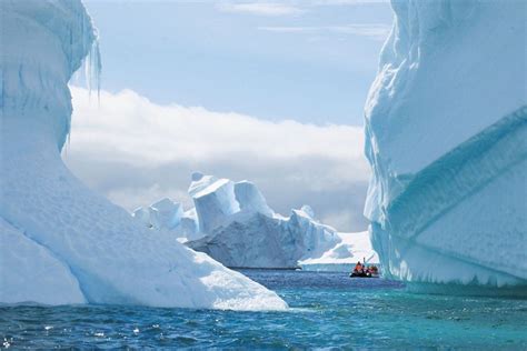 Enjoy Luxury Antarctica Cruises | Silversea