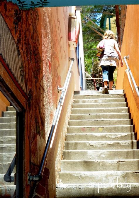 Bisbee Stair Climb 2024 - Cahra Corella