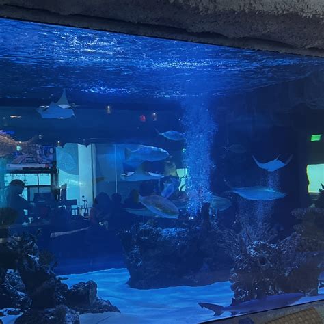 Downtown Aquarium Houston Tickets | Tiqets