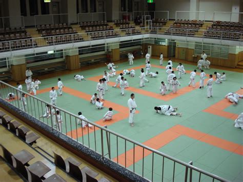 Goshin Karate and Judo Academy - Scottsdale Arizona: Kodokan Judo ...