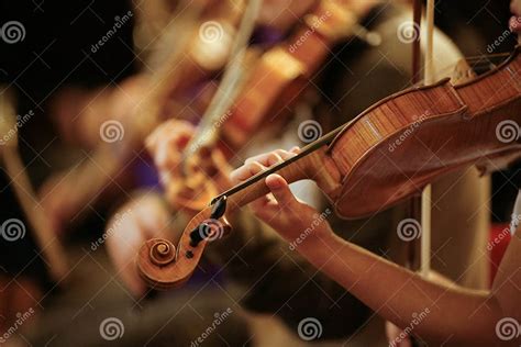 Violin stock image. Image of musical, orchestral, stringed - 34027243