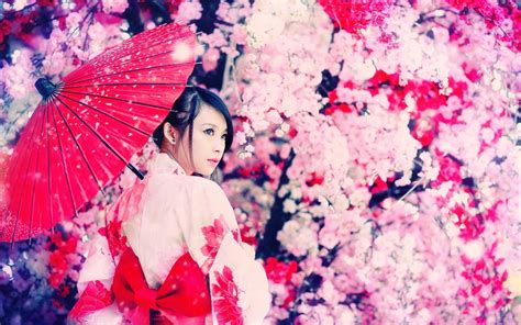 Japanese Geisha Wallpaper (68+ pictures) - WallpaperSet