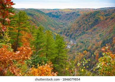 Overlooking Valley Pennsylvania Grand Canyon Fall Stock Photo ...