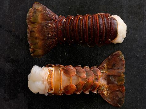 Lobster Tails — MARKFOODS