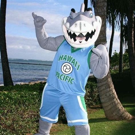 Sharky the Shark | Mascot Hall of Fame