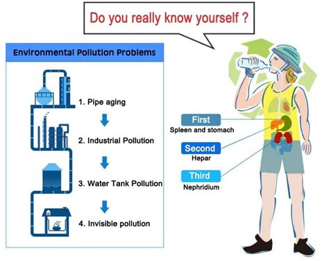 Reverse Osmosis Water Bad For Kidneys - Homes & Apartments for Rent