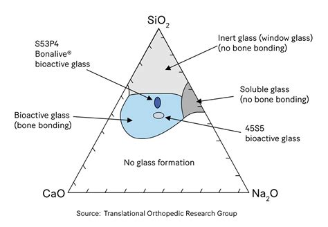 S53P4 bioactive glass in healthcare - International Year of Glass ...