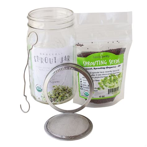 Complete Organic Broccoli Sprout Growing Kit - Includes Quart Mason Jar ...