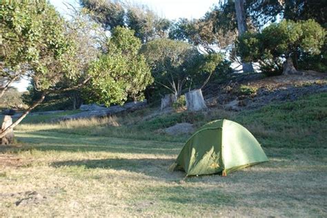 PISMO STATE BEACH NORTH BEACH CAMPGROUND - Updated 2018 Reviews (Pismo Beach, CA) - TripAdvisor