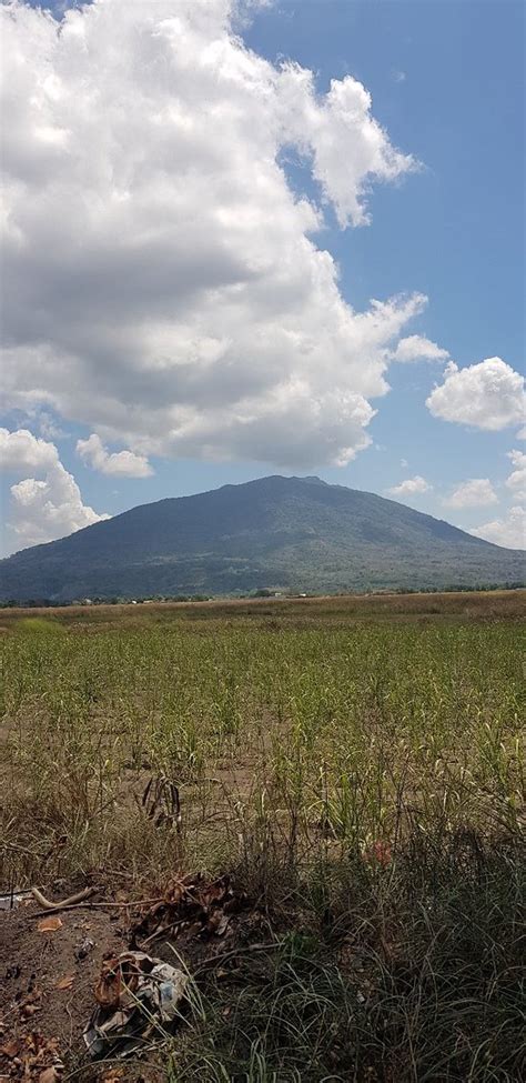 Mount Arayat - 2019 All You Need to Know BEFORE You Go (with Photos) - TripAdvisor