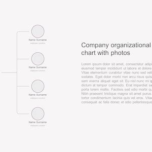 2023 Best Organizational Chart And Hierarchy Powerpoi - vrogue.co