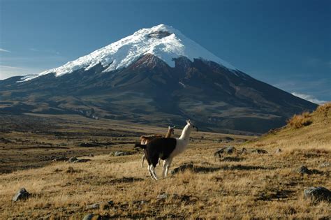 Hiking - Cotopaxi Region. Trekking and Backpacking trips