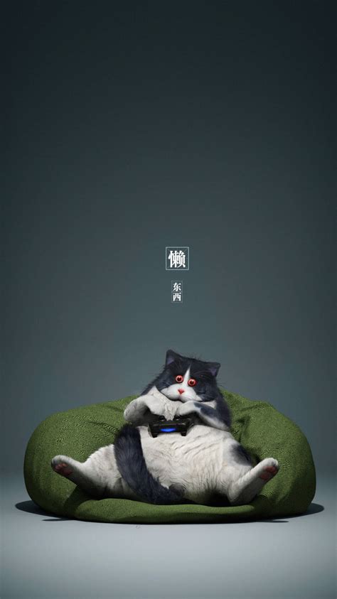 [100+] Cool Cat Wallpapers | Wallpapers.com