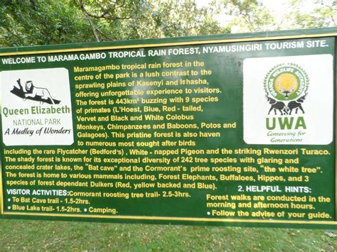 Maramagambo Forest in Queen Elizabeth National Park - Back to the Source Tours