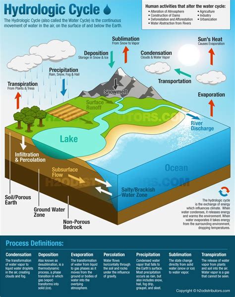 17 Best images about Water Infographics on Pinterest | Interactive ...