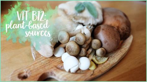 Plant-based vitamin B12 food & sources | Nutrition - YouTube