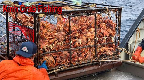 Awesome Big King Crab Trap Under The Sea - Catching & Processing A Lot ...