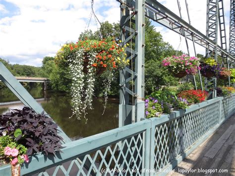 Not Afraid of Color: Bridge of Flowers